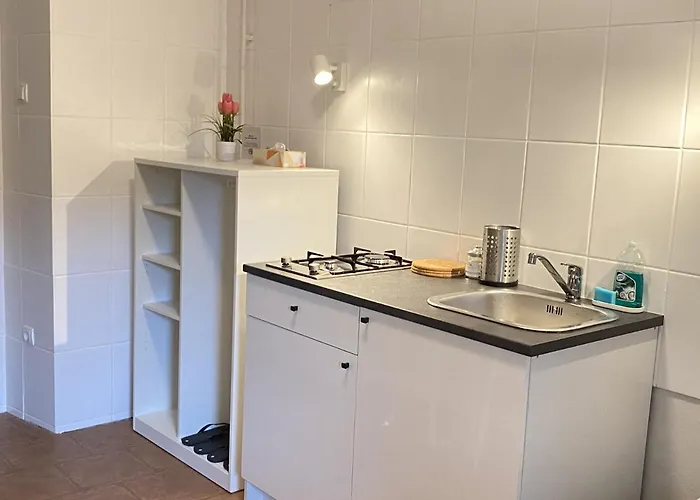 Pod Gradom Ljubljana